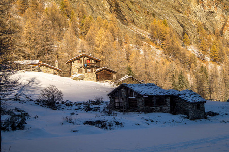 雪中的山景