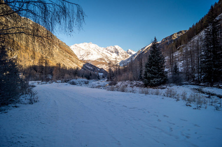 雪中的山景