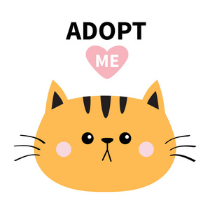 可爱的卡通小猫角色.帮助无家可归的动物平面照片