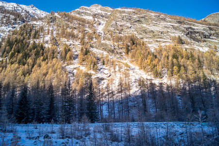 雪中的山景