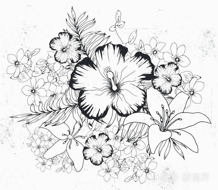 印刷夏季外来丛林植物热带棕榈叶图案无缝花卉矢量在黑白几何背景上