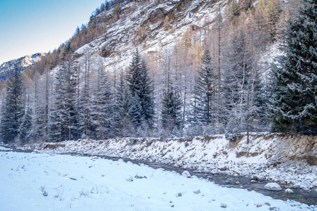 雪中的山景