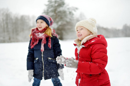 两个可爱的小女孩在美丽的冬季公园里一起玩。 美丽的姐妹在雪地里玩耍。 孩子们的冬季活动。