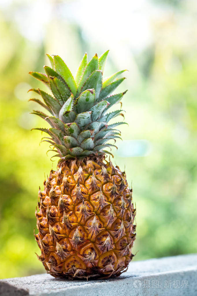 绿色背景下的菠萝照片-正版商用图片12qk9l-摄图新视界