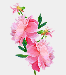 花序和叶子. 矢量格式的手绘.照片