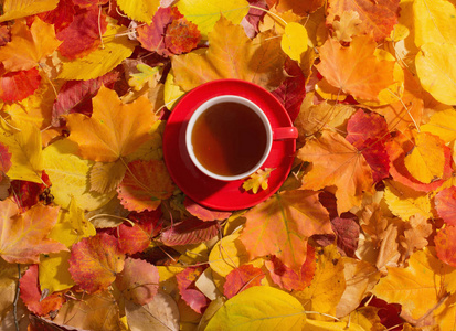 红杯茶背景秋叶照片 正版商用图片0srbq3 摄图新视界