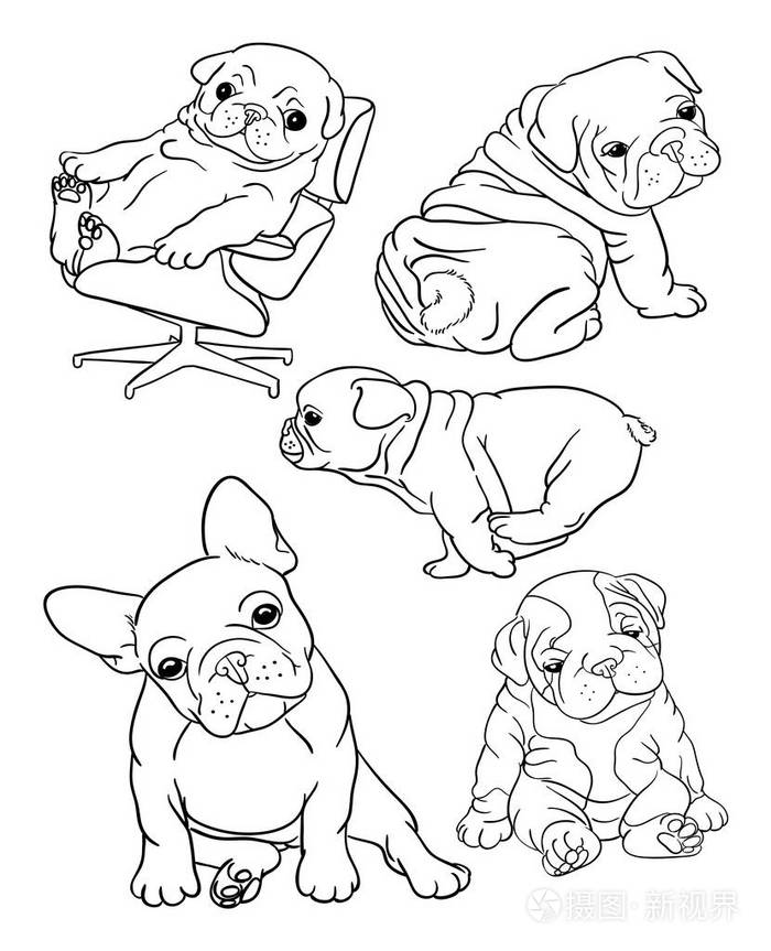 斗牛犬宠物动物线艺术很好地用于符号标志网页图标着色书吉祥物标志或