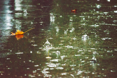 秋日里的阴雨天图片