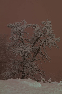 夜晚的山景和雪