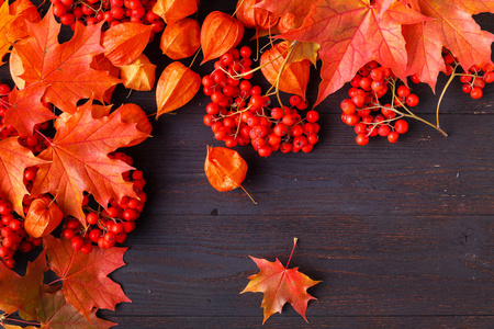 秋季框架构图，落叶在木制背景上，有文字的复制空间。 感恩节万圣节季节性秋季概念平面
