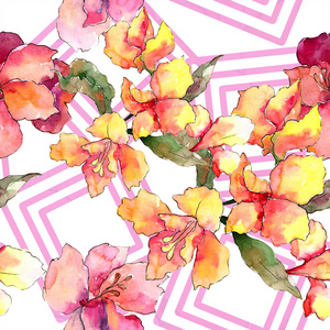 水彩色彩丰富的阿尔斯特罗梅里亚花。 花卉植物花。 无缝背景图案。 织物壁纸印花纹理。 背景纹理包装图案边框的水花。
