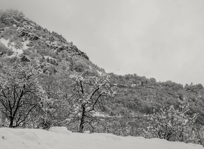 冬天下雪的山景