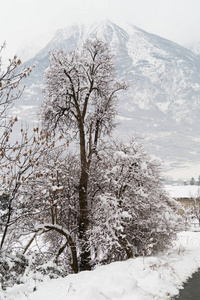 冬天有雪的穆坦全景