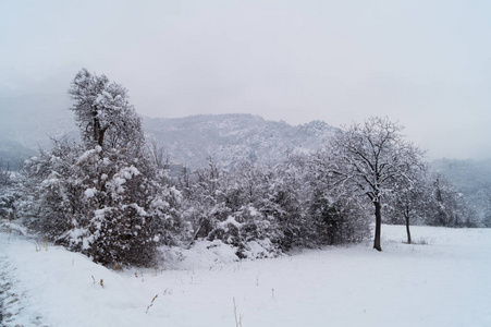 冬天有雪的穆坦全景