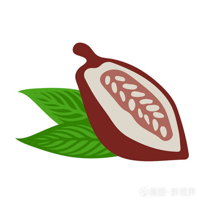 可可豆与叶子在白色背景.平面设计风格.矢量插图