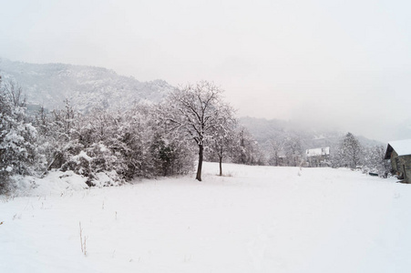 冬天下雪的茅台全景