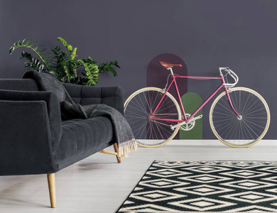 图案地毯在沙发前与毛毯在黑暗的平面内部与粉红色自行车和植物。真实照片