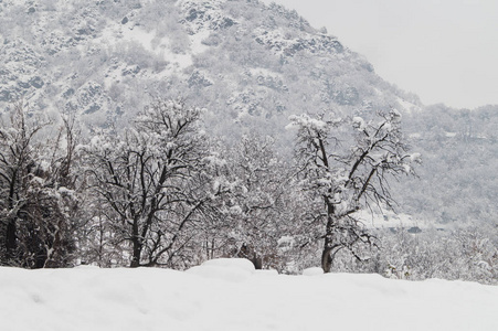 冬天下雪的茅台全景