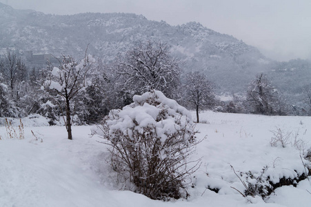 冬天下雪的茅台全景