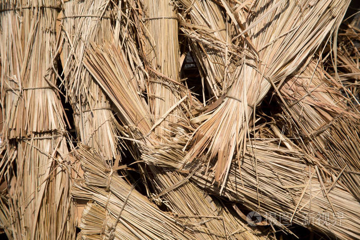 水稻秸秆覆盖地面