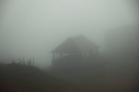 在一个多雾的夏日早晨，山区的生态农场