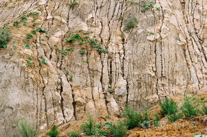 陡峭的海岸粘土过度生长的斜坡,不同的土壤在塌陷的岩石上