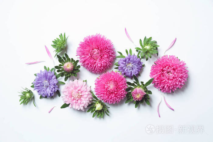 白色背景顶视图上美丽的星号花文本空间