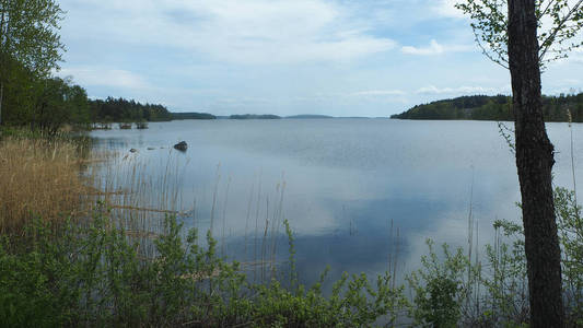 瑞典夏天的湖