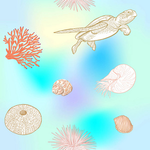 海洋世界无缝图案背景与鱼珊瑚和贝壳的蓝色和白色条纹背景。 股票向量插图。 彩色和轮廓不对齐。