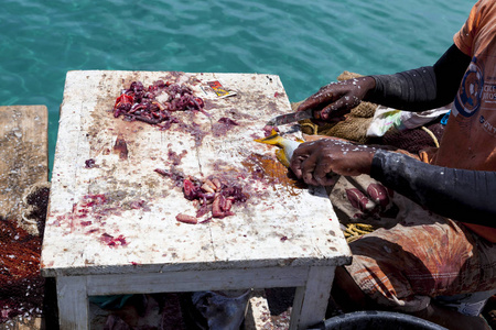 清洗鱼。非洲妇女在岸上用刀子清洗新鲜鱼