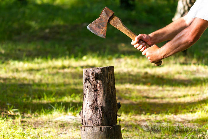 年轻人在森林里砍柴