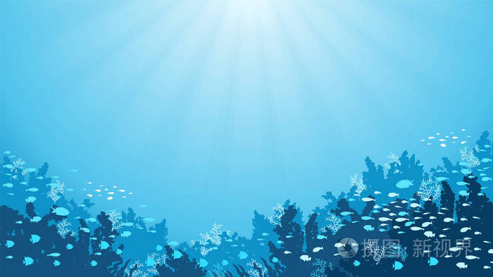 鱼类,海洋植物和珊瑚礁的水下背景