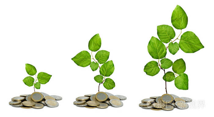 从硬币中长大的小树苗