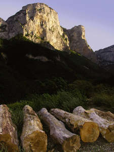 阿尔卑斯山山脉背景的木制原木法国