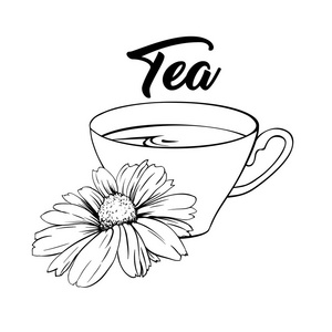 英语雏菊图片 英语雏菊素材 英语雏菊插画 摄图新视界