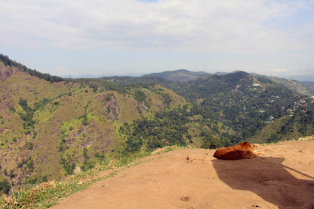 s Peak in Ella. Taken in Sri Lanka, August 2018.