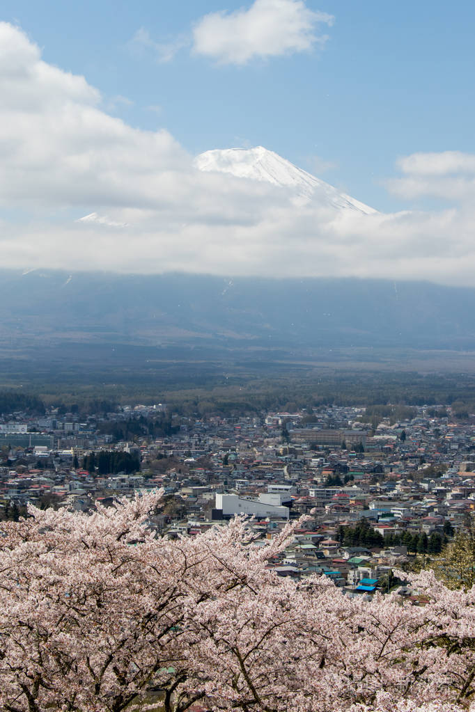 富士山是日本著名的地标,蓝天背景上以白云和樱花为前景