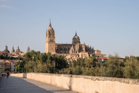 萨拉曼卡大教堂和罗马桥卡斯蒂利亚里昂西班牙的美丽景色
