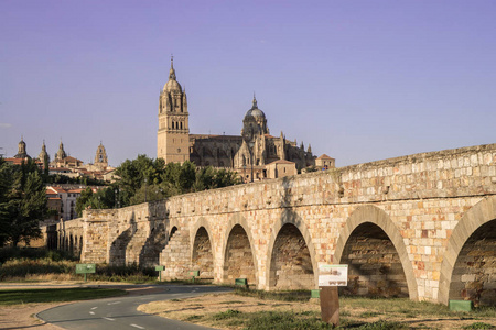 萨拉曼卡大教堂和罗马桥卡斯蒂利亚里昂西班牙的美丽景色