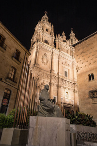 西班牙萨拉曼卡卡斯蒂利亚里昂大教堂的美丽景色