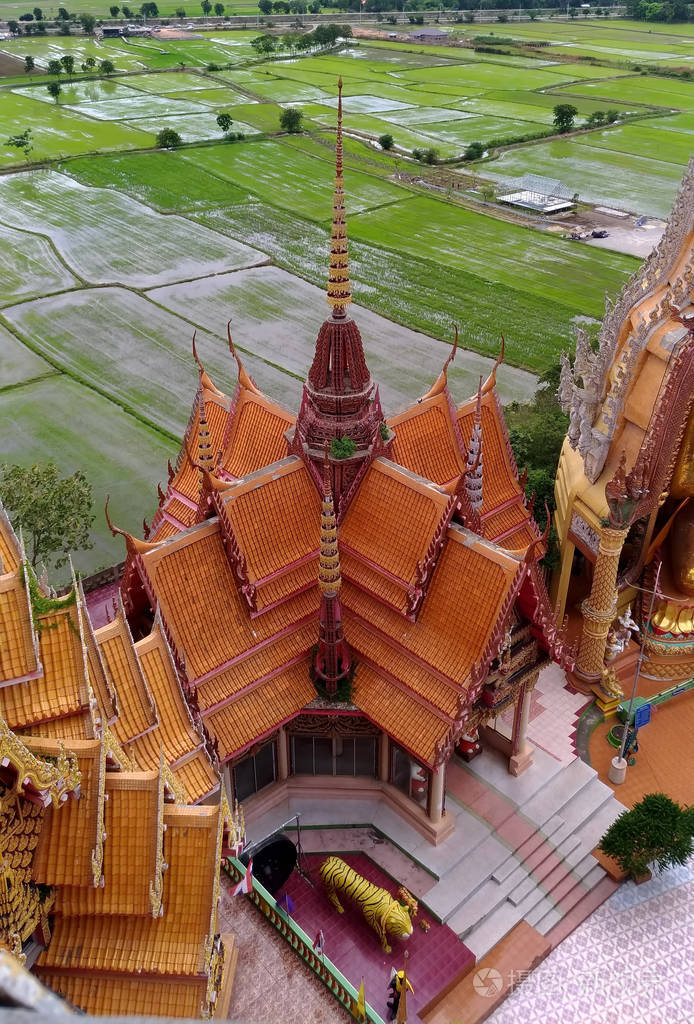 泰国kanchanaburi虎庙景点