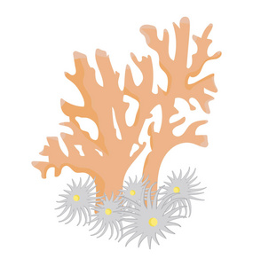 科珊瑚礁平面图设计