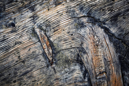 旧的风化木板的抽象背景或纹理细节