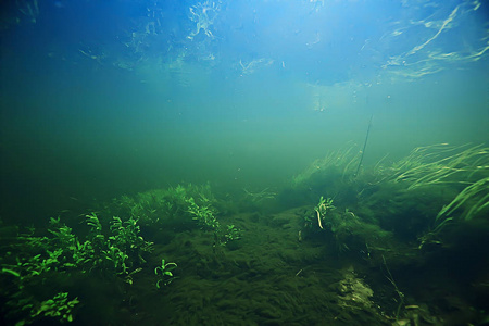 水下景观透明湖泊/淡水生态系统不寻常景观照片