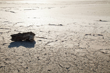 没有水的无生命的沙漠干旱地球照片