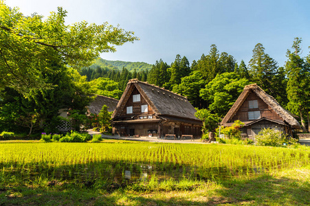 加索在日本白川的房子图片