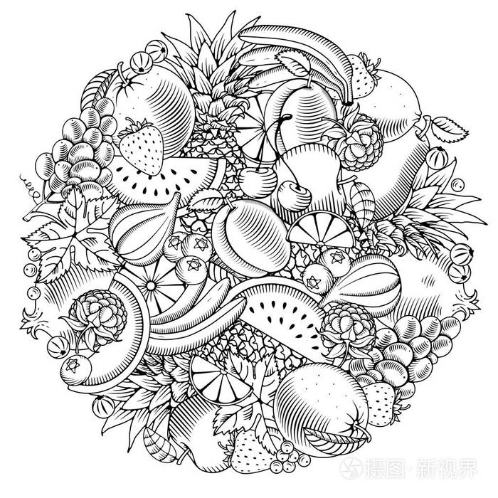 水果和浆果圆形图案手绘涂鸦或雕刻风格黑白相间矢量图解