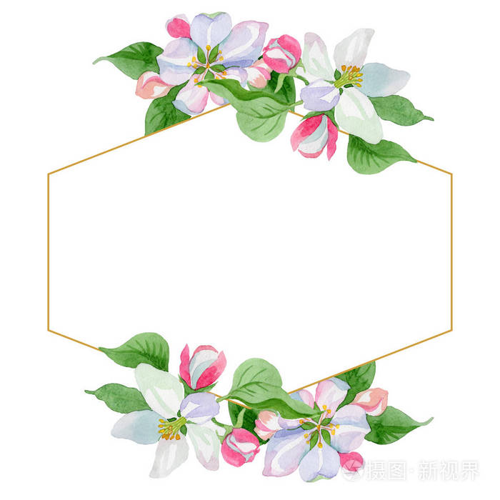 水彩苹果花. 花卉植物花. 框架边框装饰广场.