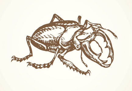 大可爱的爬行鹿甲虫在灯光背景下。写意深色轮廓墨水手绘昆虫图案徽章在复古艺术涂鸦刻蚀风格的纸上空间的文字。特写细节视图