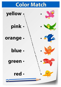 颜色匹配鸟类概念插图